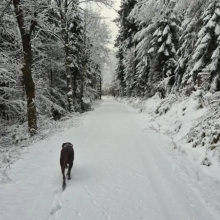דירה Am Hammerberg Schönheide