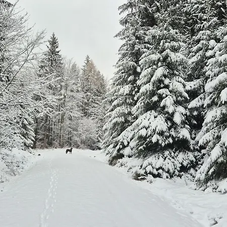Am Hammerberg דירה Schönheide